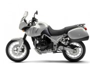 Triumph Tiger